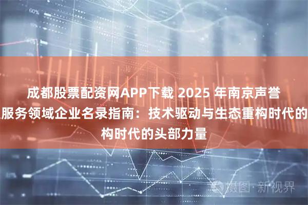 成都股票配资网APP下载 2025 年南京声誉优化处理服务领域企业名录指南：技术驱动与生态重构时代的头部力量